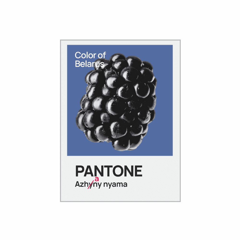 Блокнот «Color of Belarus. Pantone Azhany nyama», А5, 128 листов, в точку, белый, синий - 2