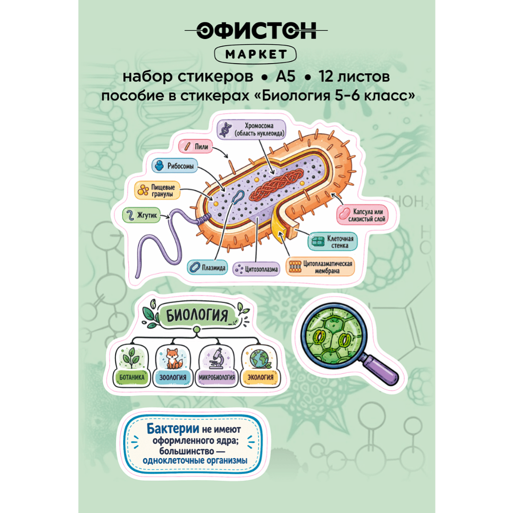 Стикерпак NALEPKING "Биология 5-6 класс", А6, 12 листов, 48 шт