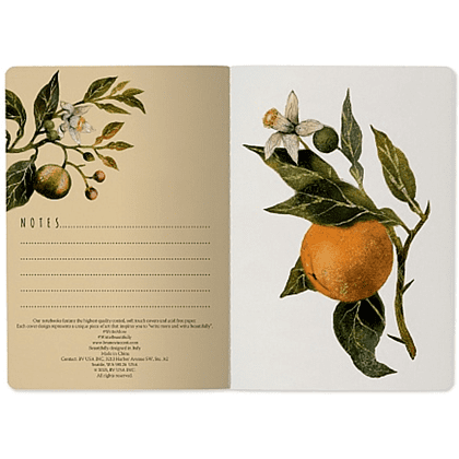 Тетрадь "Flora. Paradise. Oranges", A5, 40 листов, линейка, зеленый, оранжевый - 4