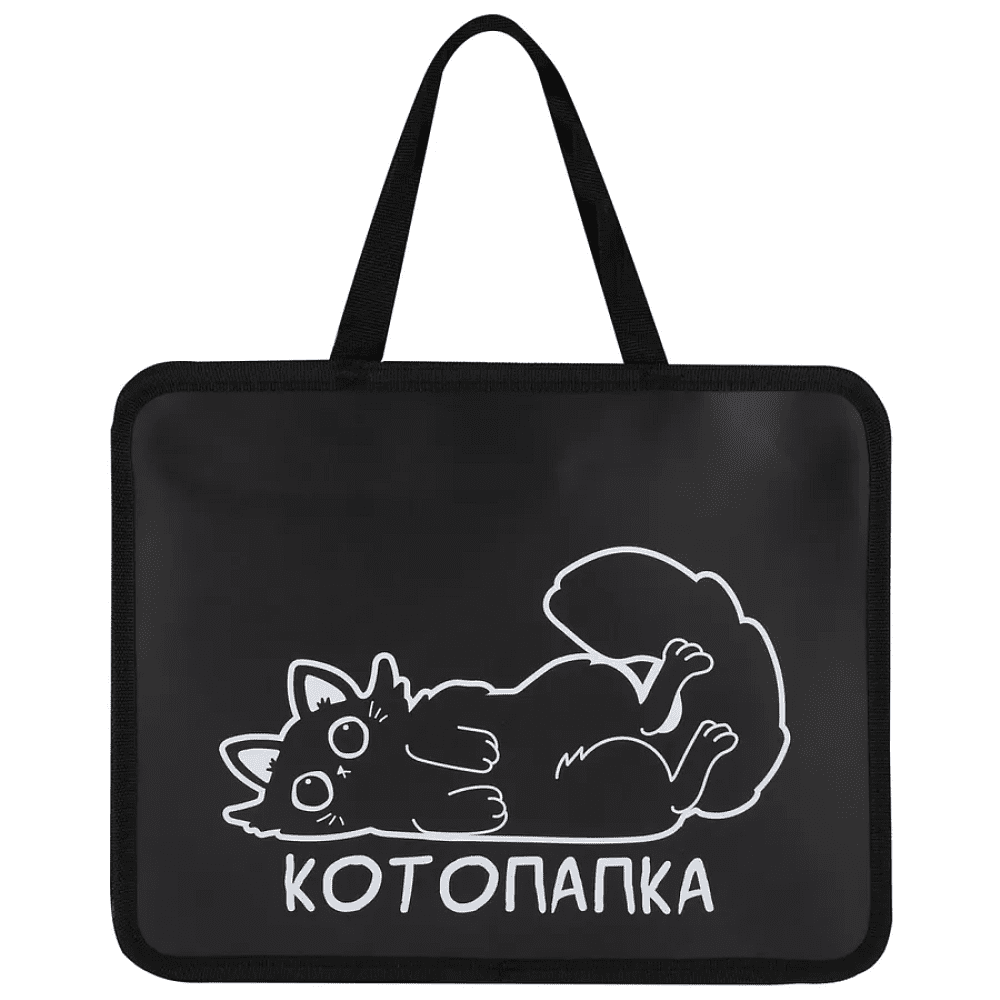 Папка для тетрадей "First Котожизнь", А4, с ручками, молния, черный