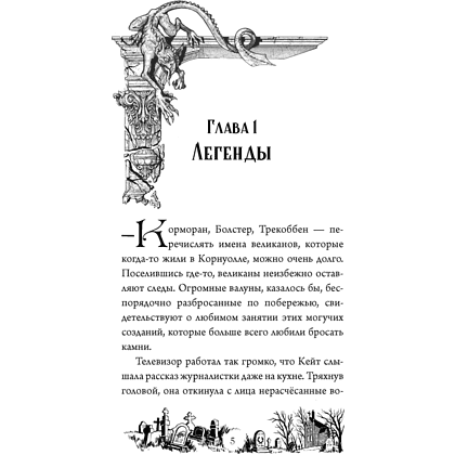 Книга "Тайна Даркмур-Холла. Проклятие четырёх ветров", Нина Шевелинг - 5