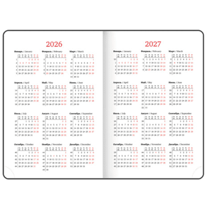 Ежедневник датированный "Plain" на 2026 год, А5, 336 страницы, черный - 7