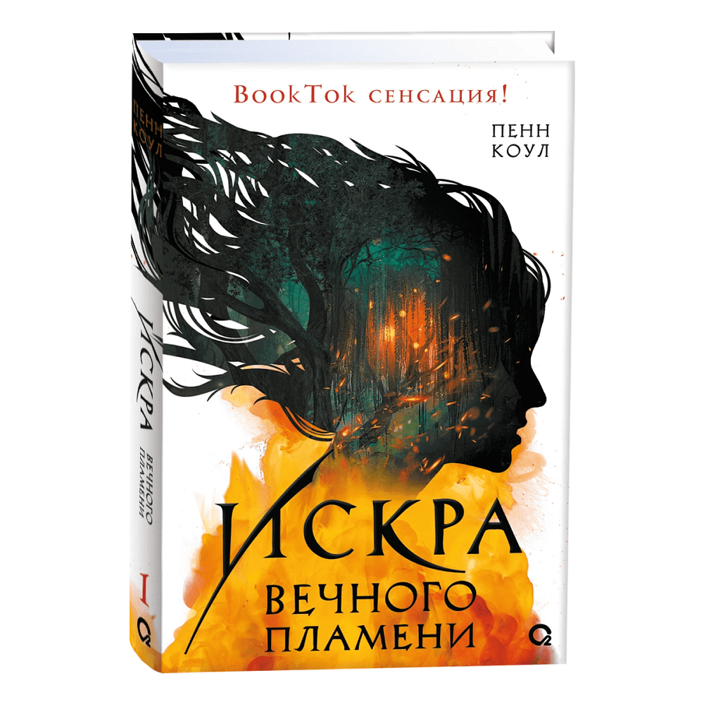 Книга "Искра вечного пламени", Пенн Коул