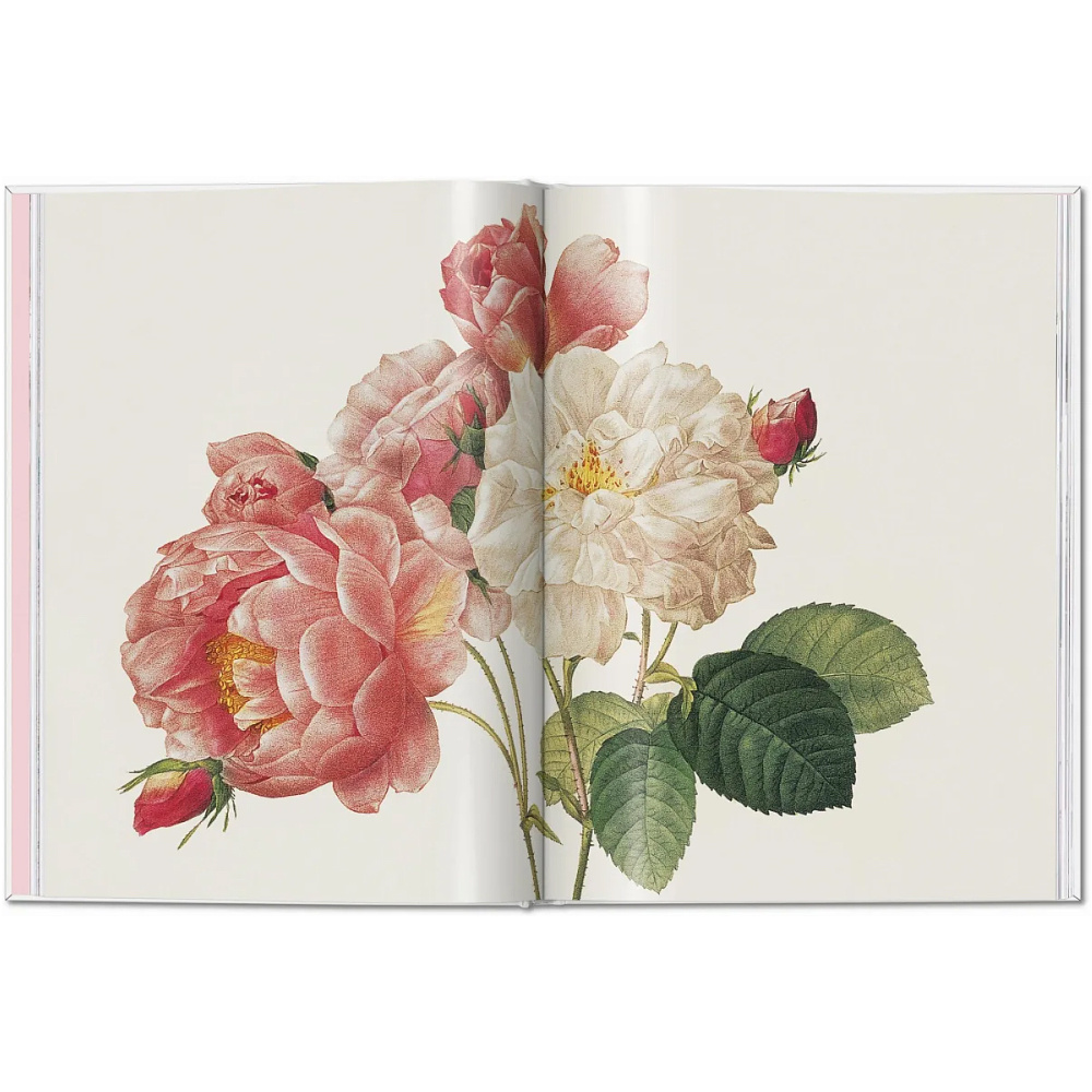 Книга на английском языке "Roses", Redoute Pierre-Joseph - 4