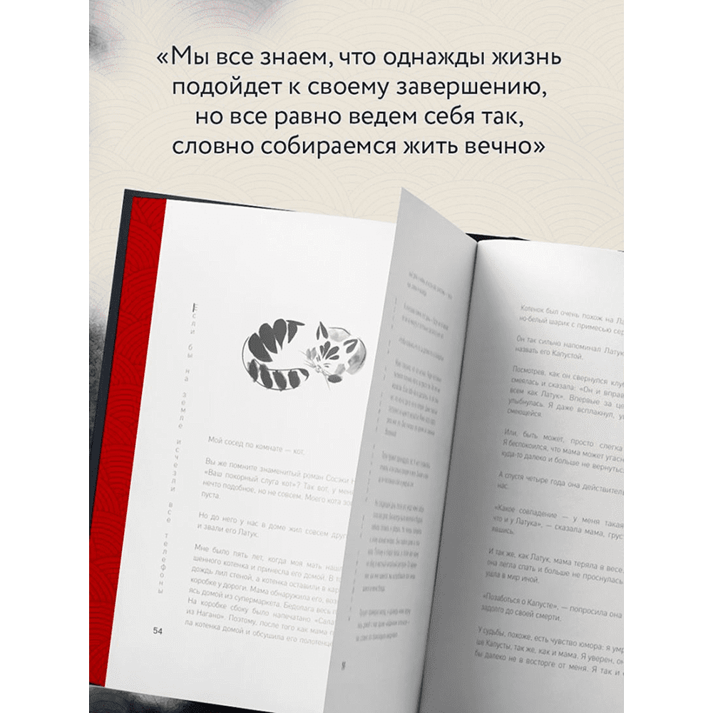 Книга "Если все кошки в мире исчезнут", Гэнки Кавамура - 4