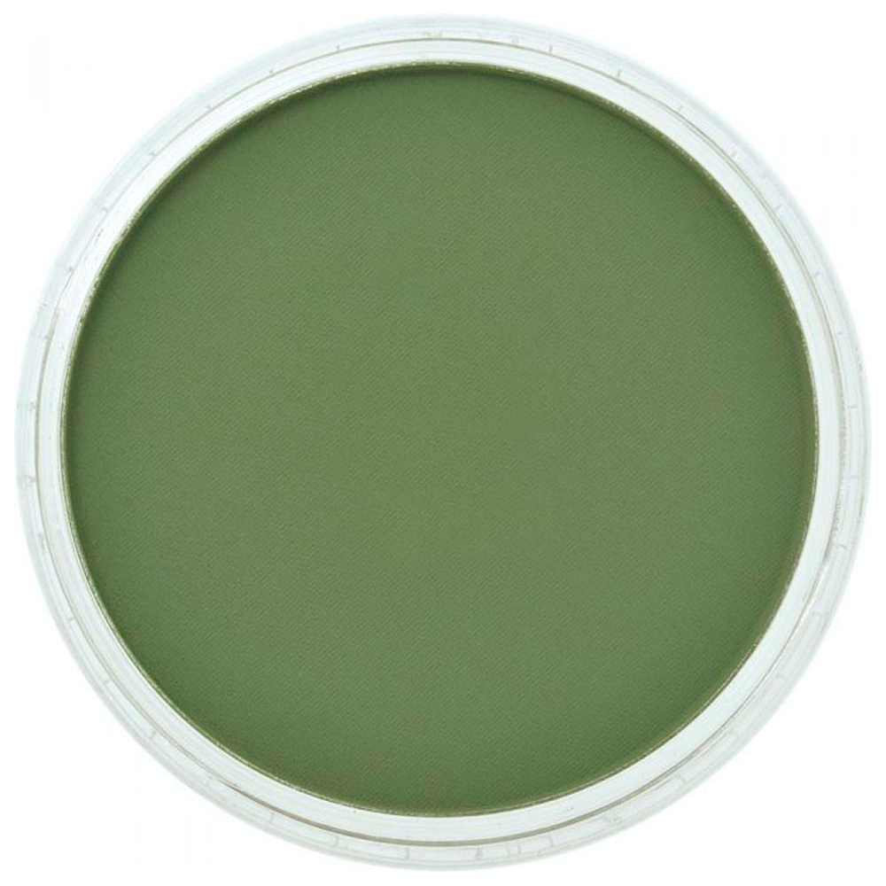 Ультрамягкая пастель "PanPastel", 660.3 хромовокислый зеленая тень