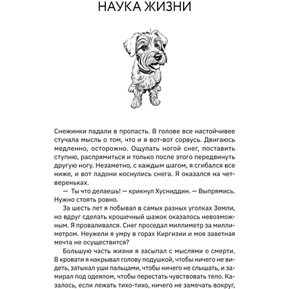 Книга "Большая кругосветная медитация. Шаг за шагом: 7 лет, 6 континентов, 45 000 километров", Том Турчич - 6
