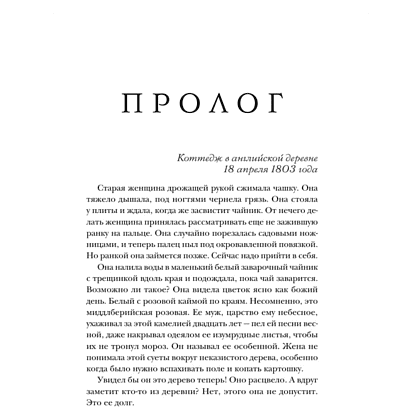 Книга "Последняя камелия", Сара Джио - 6