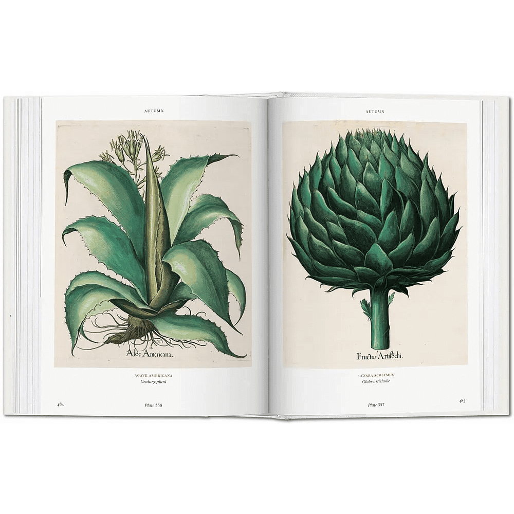 Книга на английском языке  "Florilegium. The Book of Plants. Garden at Eichstatt"  - 2