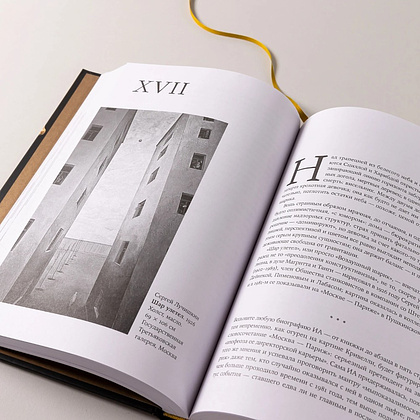 Книга "Палаццо Мадамы. Воображаемый музей Ирины Антоновой", Лев Данилкин - 12