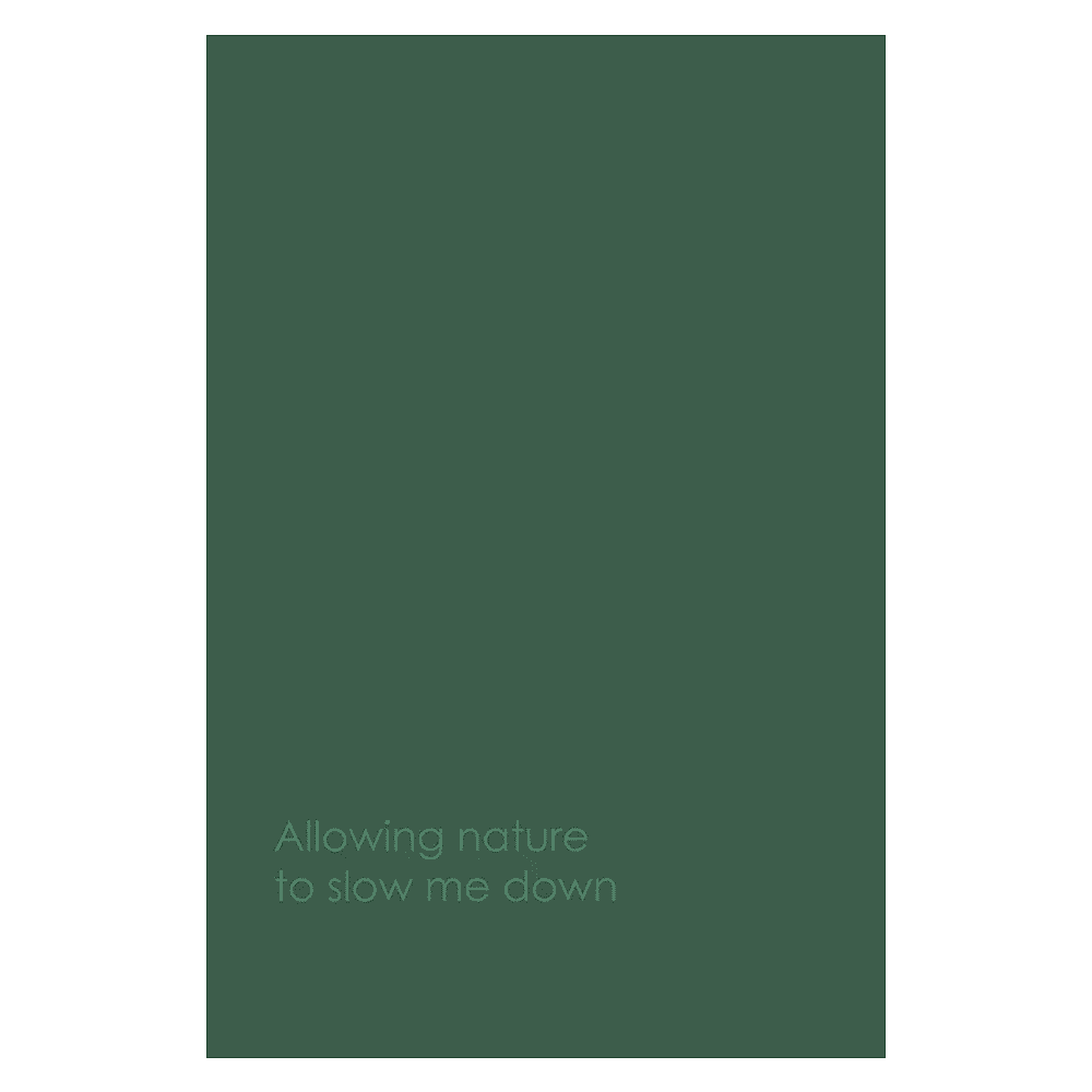 Ежедневник недатированный "Every Day. Nature", A5, 176 листов, зеленый - 3