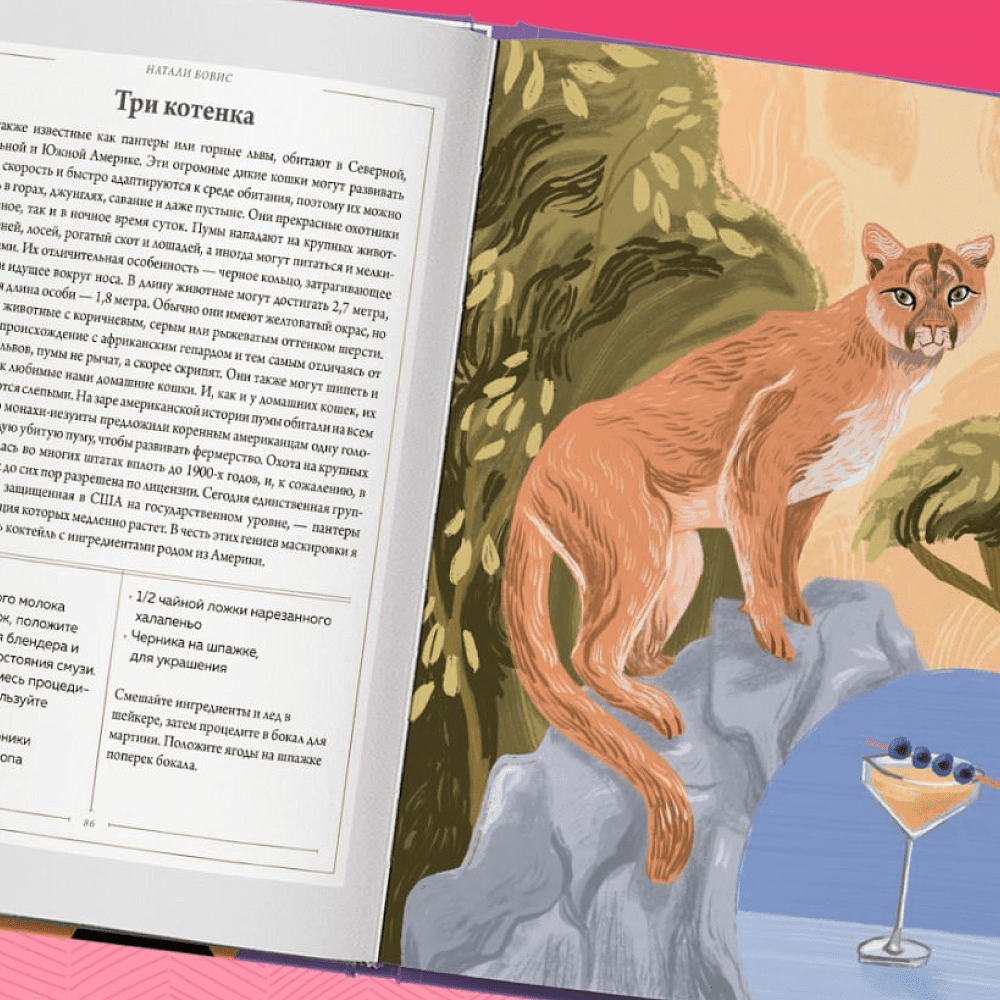 Книга "Кот коктейля. Рецепты напитков с кошачьей харизмой", Натали Бовис - 5 Книга "Кот коктейля. Рецепты напитков с кошачьей харизмой", Натали Бовис - 5