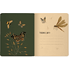 Тетрадь "Fauna. Butterfly", A5, 48 листов, клетка, ассорти - 9