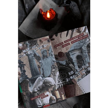 Книга "Общество забытых мучеников", Анви Рид - 2