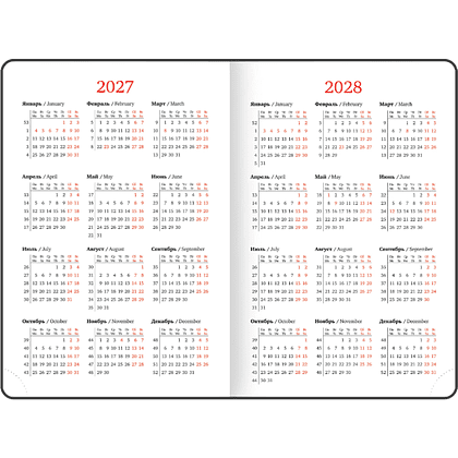 Ежедневник датированный "Plain" на 2027 год, А5, 352 страницы, черный  - 6