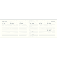 Еженедельник датированный "Poesy" на 2026 год, А6, 128 страниц, зеленый