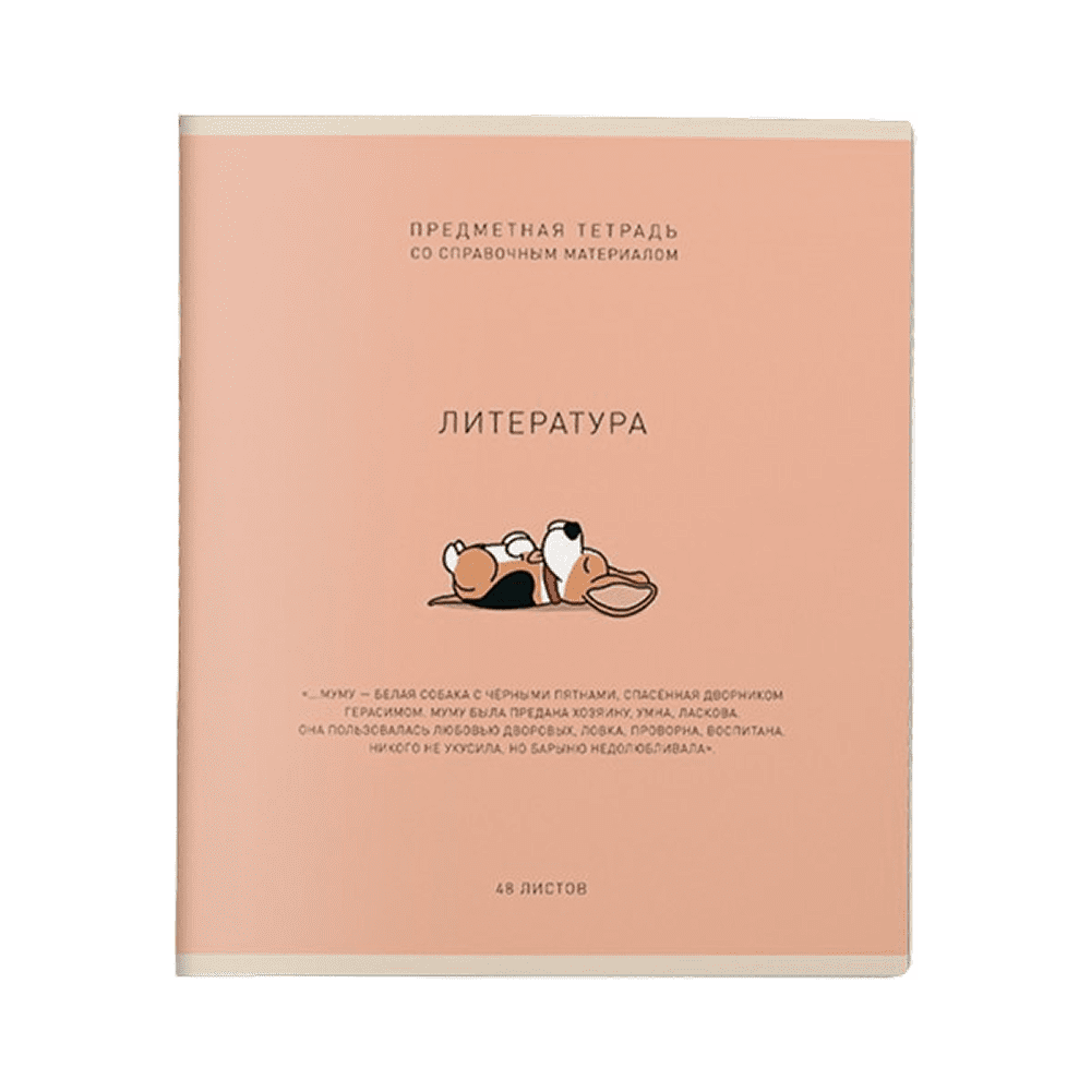 Тетрадь предметная "Ми-ни-ми. Литература", А5, 48 листов, линейка