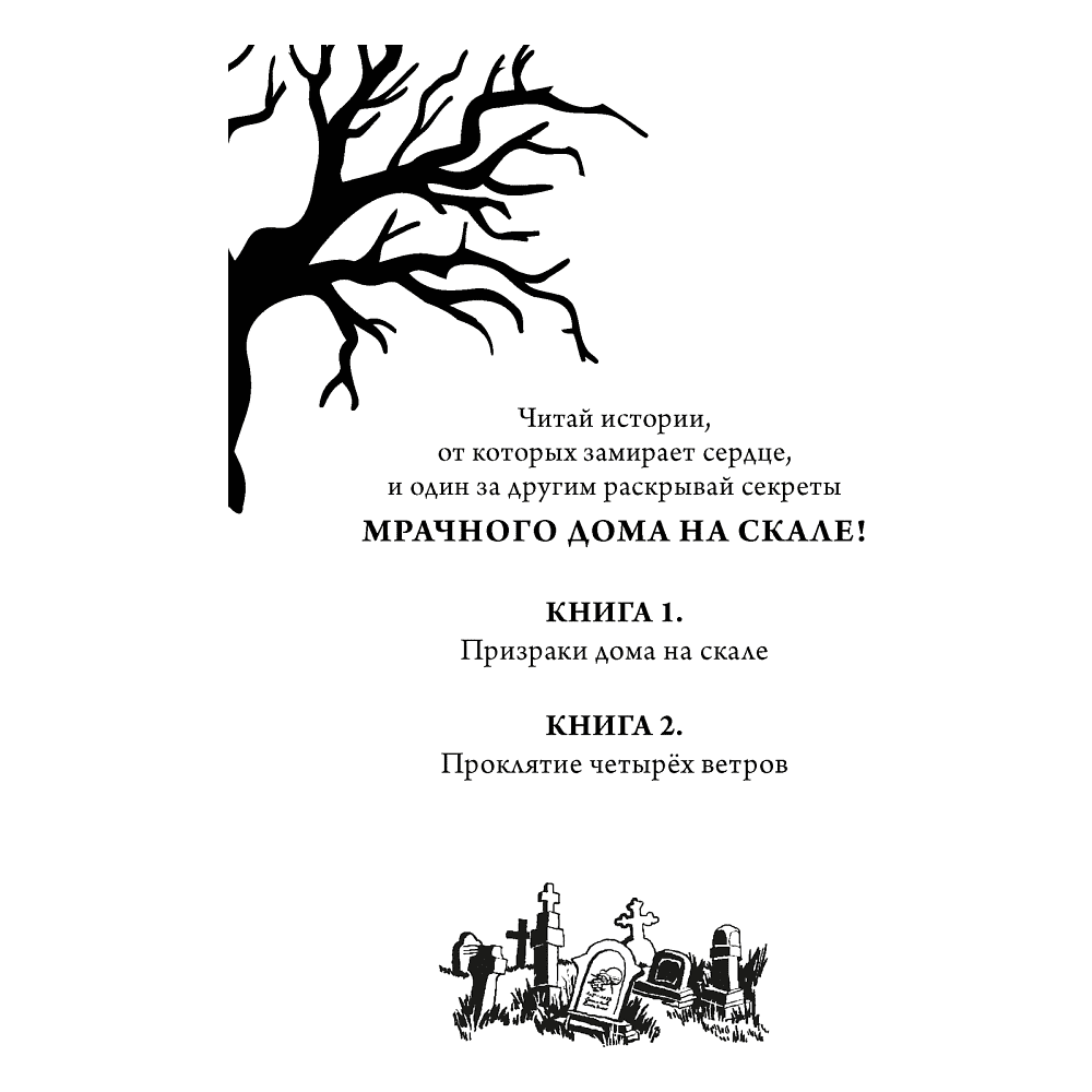 Книга "Тайна Даркмур-Холла. Проклятие четырёх ветров", Нина Шевелинг - 3