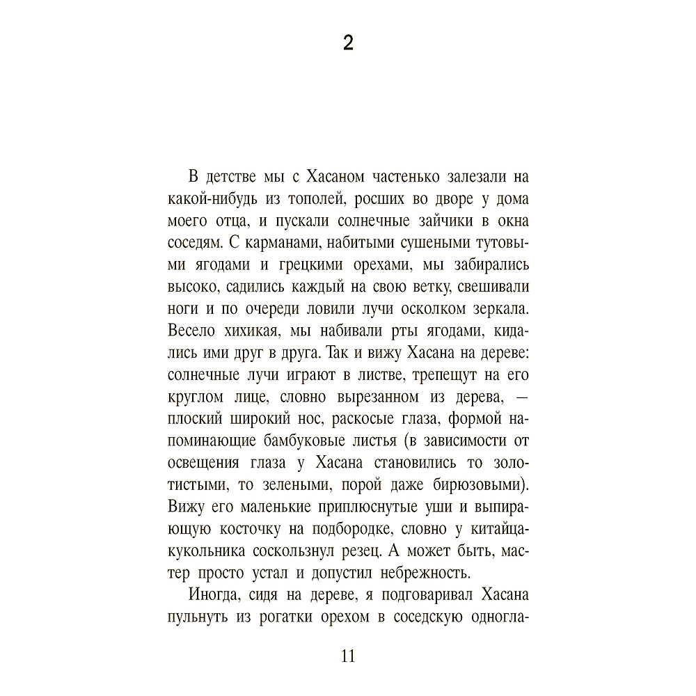 Книга "Бегущий за ветром", Халед Хоссейни - 4