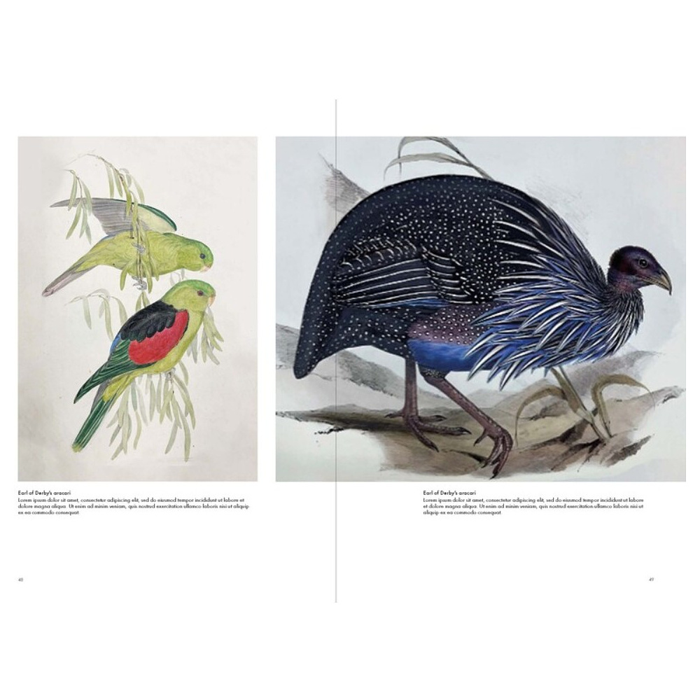 Книга на английском языке "Birds of the World. The Art of Elizabeth Gould", Andrea Hart, Ann Datta - 3