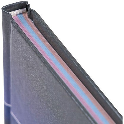 Книга канцелярская, A4, 96 листов, клетка, разноцветный, (992904) - 5