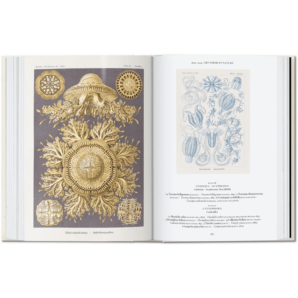 Книга на английском языке "The Art and Science of Ernst Haeckel", Rainer Willmann - 8