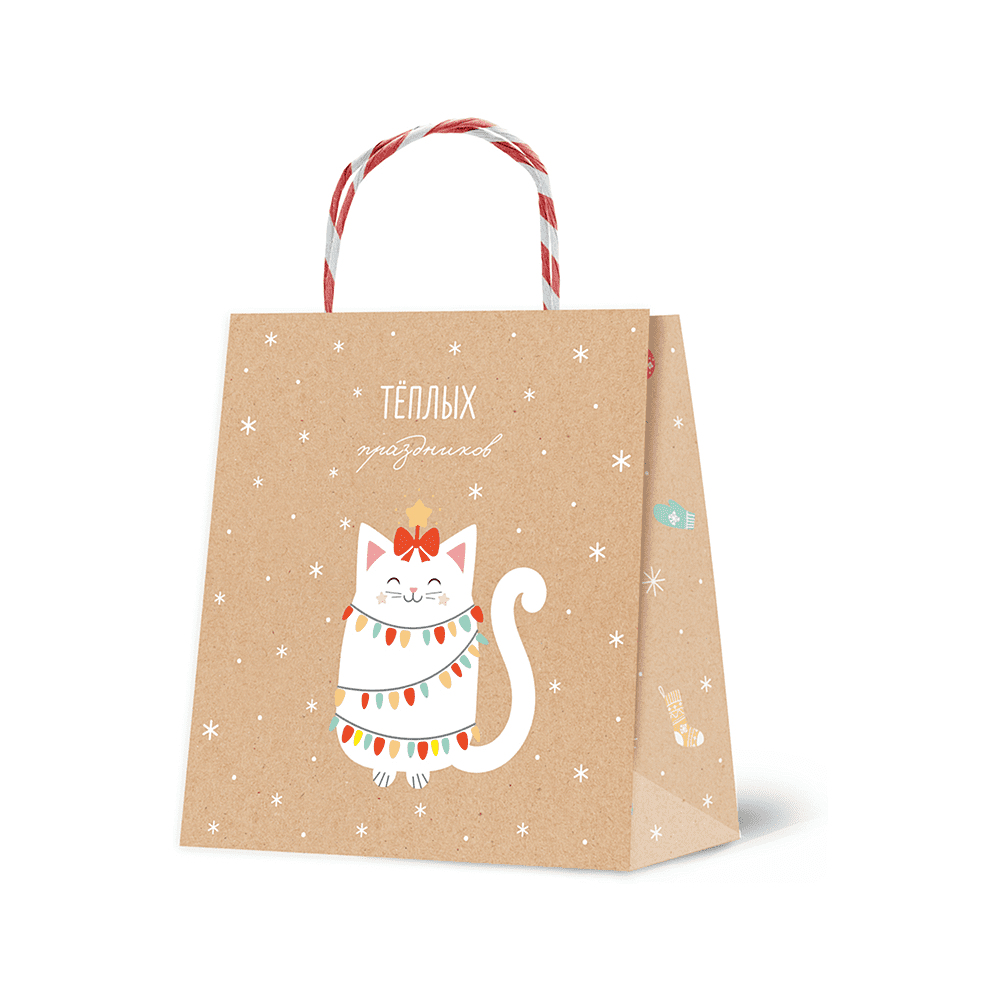 Пакет бумажный подарочный "Christmas Kraft", 16*18*8 см, ассорти - 5