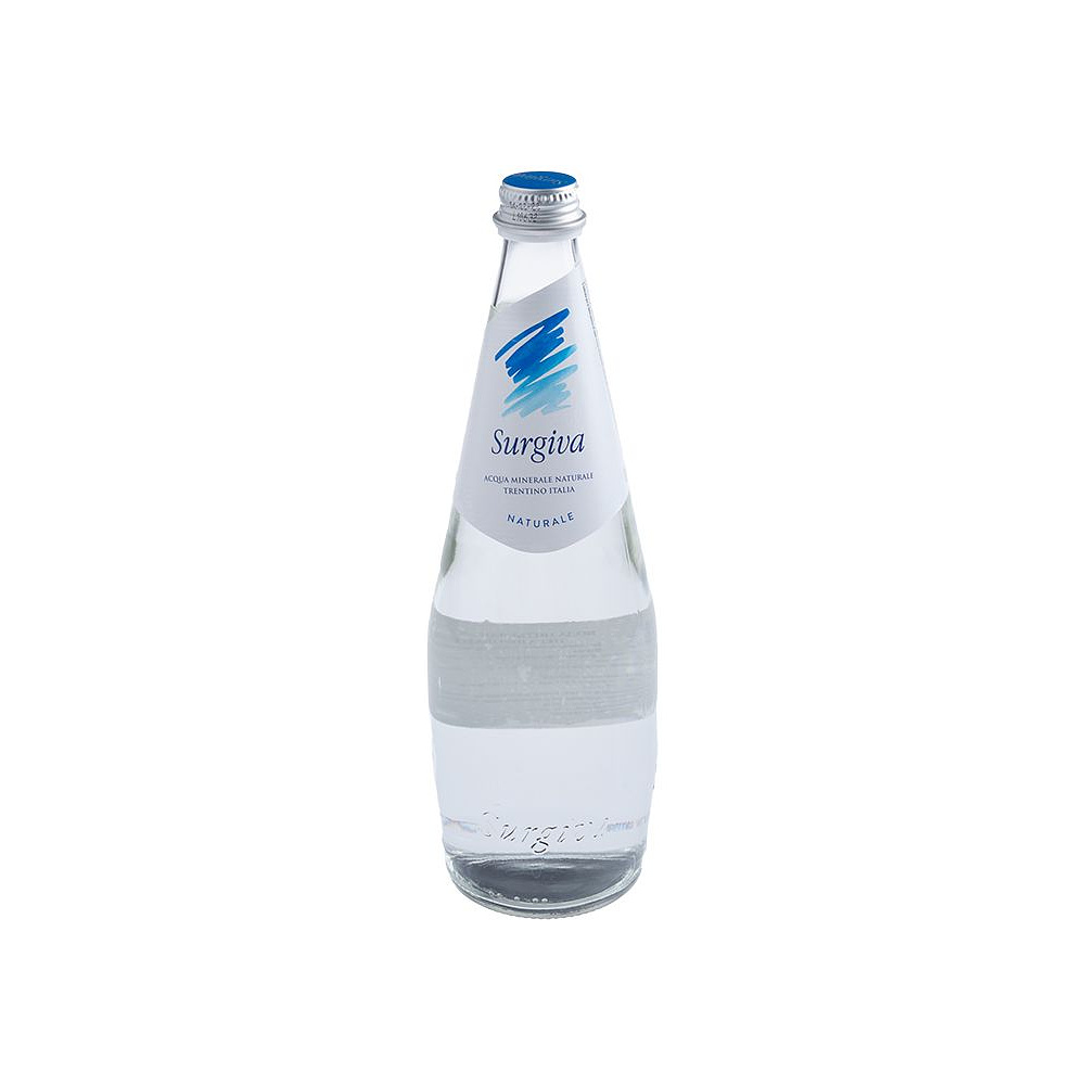 Вода минеральная природная питьевая «Surgiva», 0.75 л., негазированная, 12 бут/упак - 2