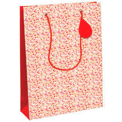 Пакет бумажный подарочный "Romance", 26.5x14x33 см, красный