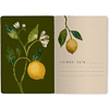 Тетрадь "Flora. Paradise. Lemons", A5, 40 листов, клетка, софт., белый, желтый - 3