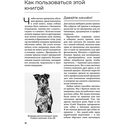 Книга "Собака, которая умеет всё. Пошаговое руководство по 118 удивительным трюкам", Ларри Кей, Крис Перонди - 8
