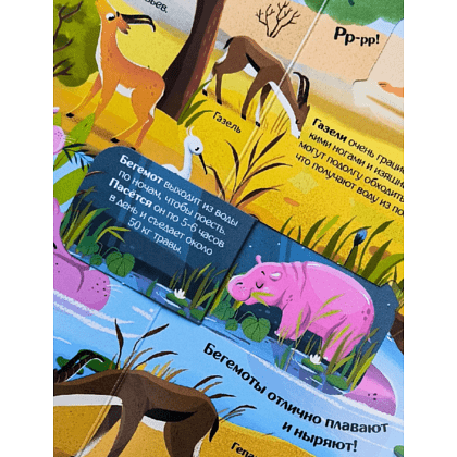 Книга "Книжка с окошками. Мир животных" - 9