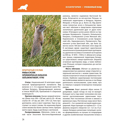 Книга "Красная книга Республики Беларусь. Животные" - 6