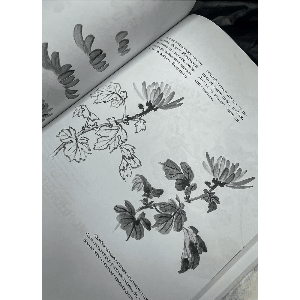 Книга "Основы японской живописи суми-э", Наталия Безвуляк - 4