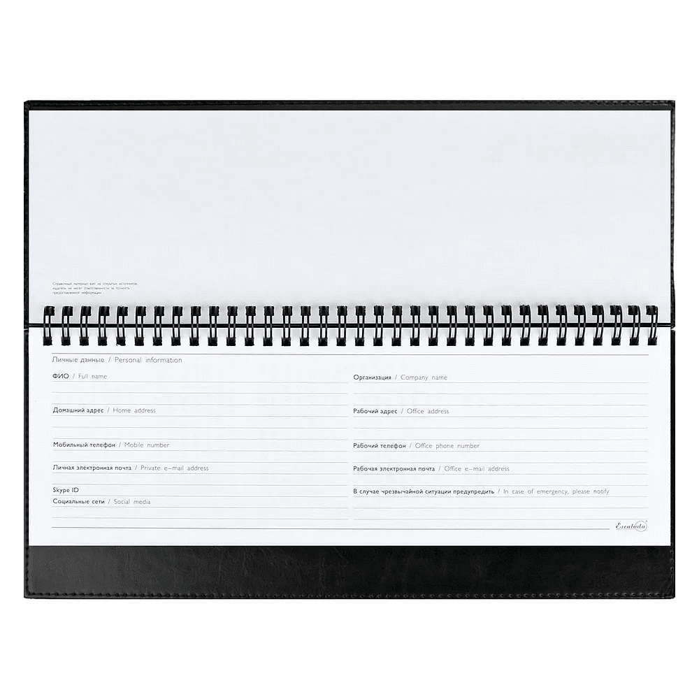 Планинг датированный "Сафир", 310х130 мм, 64 листа, черный, 2026 - 4