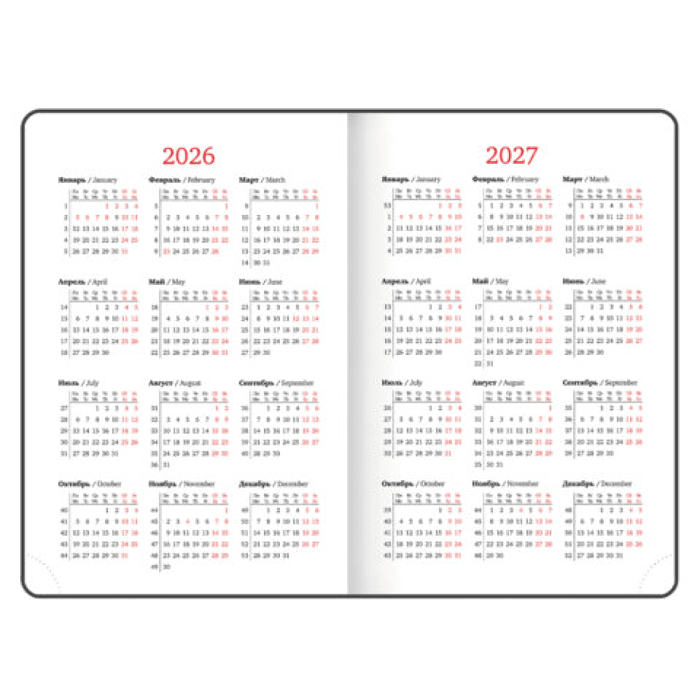 Ежедневник датированный "Plain" на 2026 год, А5, 336 страницы, черный - 7