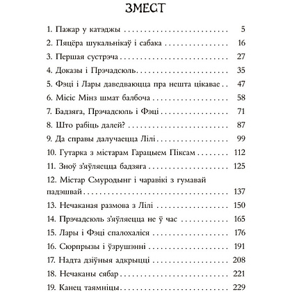 Книга "Таямніца пажару ў катэджы", Энід Блайтан - 2