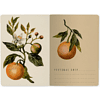 Тетрадь "Flora. Paradise. Oranges", A5, 40 листов, линейка, зеленый, оранжевый - 2