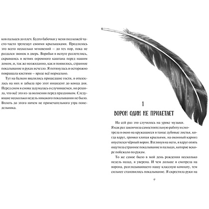 Книга "Девочка-птица", Нелли Мёле - 3 Книга "Девочка-птица", Нелли Мёле - 3