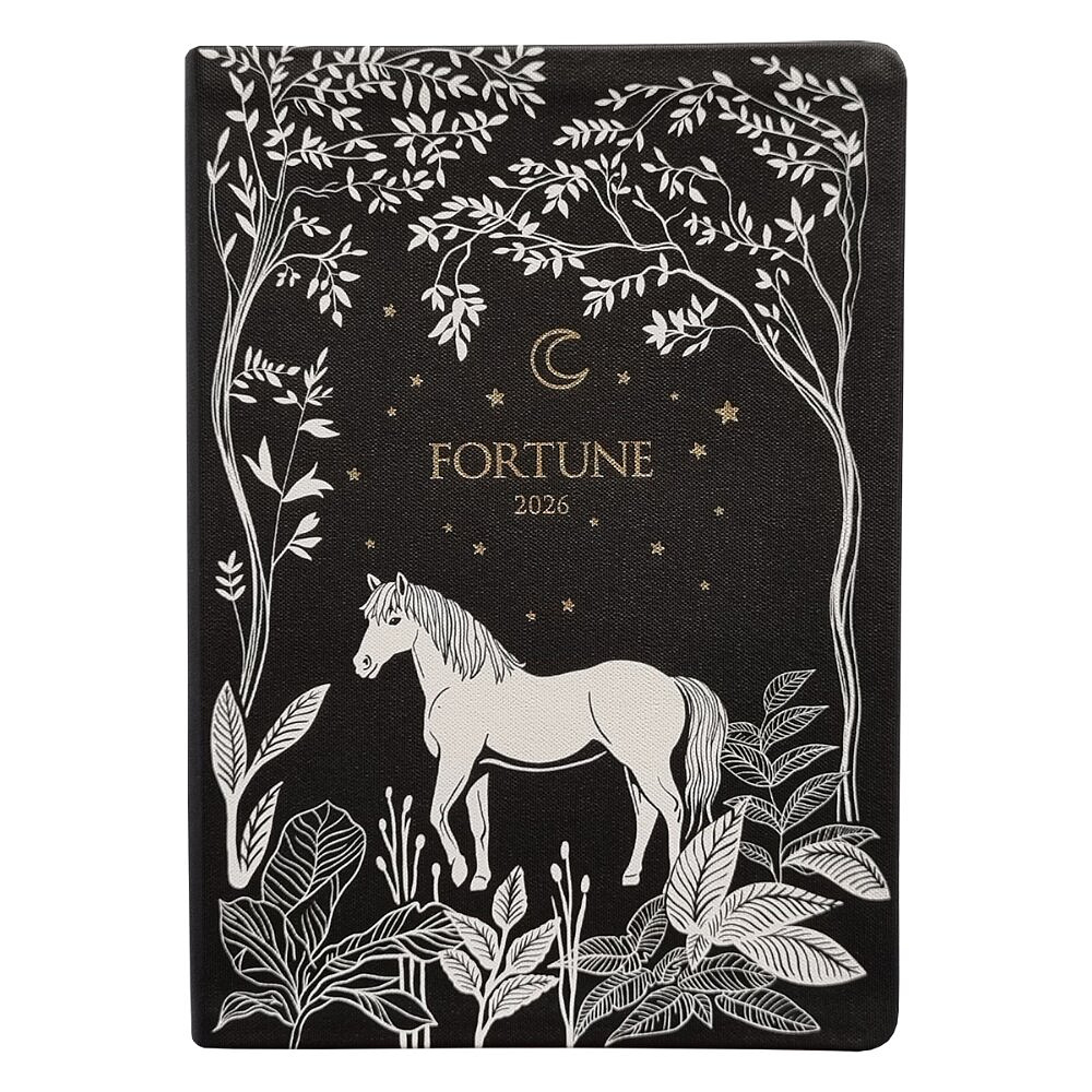 Ежедневник датированный "Fortune" на 2026 год, А5, черный