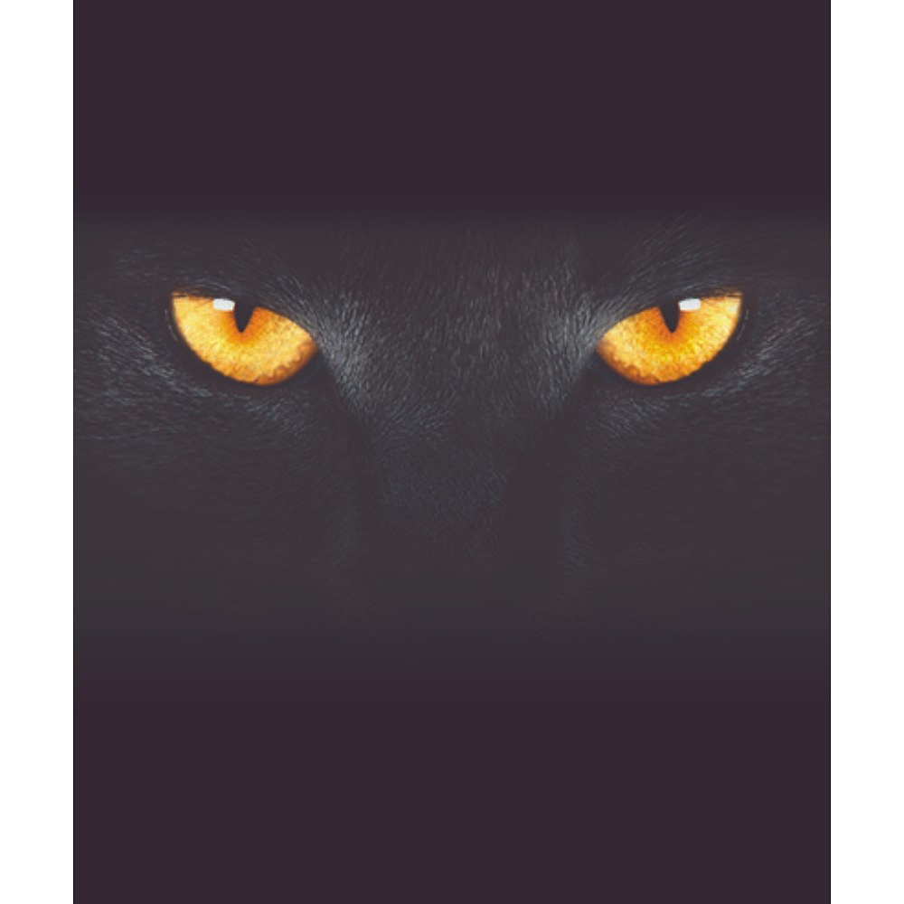 Тетрадь "Кто это?", А5, 48 листов, клетка, ассорти - 11