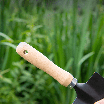 Набор садовых инструментов Deli GS DL580833, 310 мм, 3 шт., деревянная рукоятка - 4 Набор садовых инструментов Deli GS DL580833, 310 мм, 3 шт., деревянная рукоятка - 4