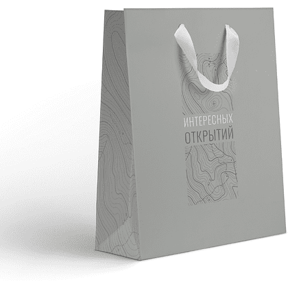 Пакет бумажный подарочный "Country LV", 25.5х31.5х11 см, ассорти - 2