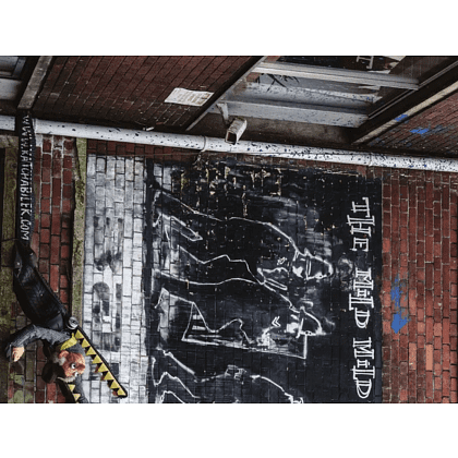 Книга "Бэнкси. Первое полное расследование тайны художника", Кэрол Диль - 6