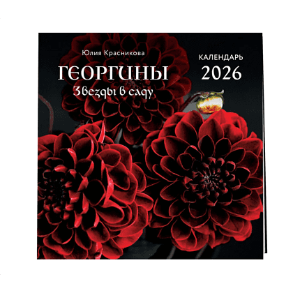 Календарь настенный перекидной "Георгины. Звезды в саду" на 2026 год - 3 Календарь настенный перекидной "Георгины. Звезды в саду" на 2026 год - 3