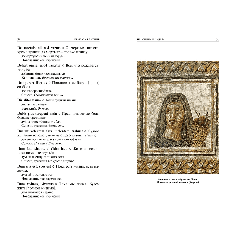 Книга "Крылатая латынь. Цитаты. Пословицы. Надписи. Девизы. Эпитафии", Константин Душенко, Григорий Багриновский - 4