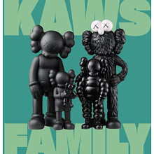 Книга на английском языке "Kaws. Family", Shedden J., Cox J. 