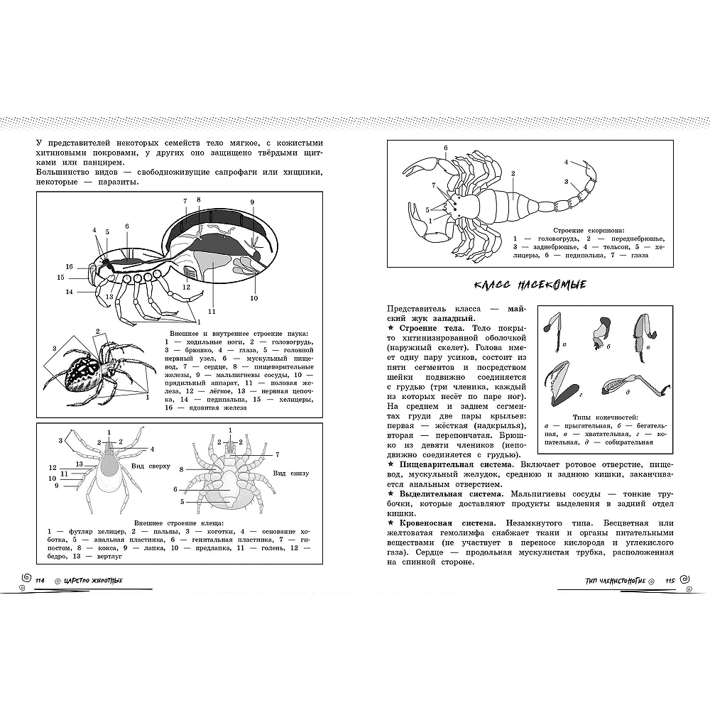 Книга "Биология. Прокачай свой уровень на максимум (аниме)", Оксана Мазур - 9