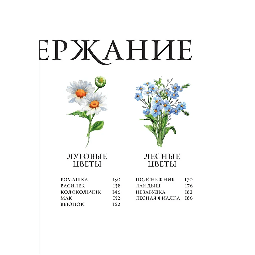 Книга "Цветы в искусстве. Воспевание красоты" - 4 Книга "Цветы в искусстве. Воспевание красоты" - 4