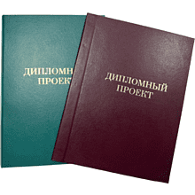 Папка для диплома "Дипломная работа", А4, 3 отверстия со шнурком, ассорти